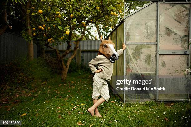 horse mask - bizarre stock pictures, royalty-free photos & images