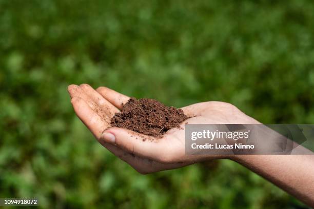 holding soil - agroforestry stock pictures, royalty-free photos & images