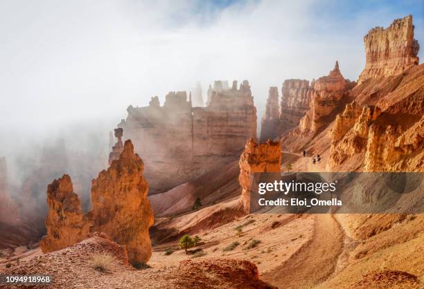 trekking navajo loop trail bryce-canyon-nationalpark bei sonnenaufgang mit nebel. utah. usa - hoodoos stock-fotos und bilder