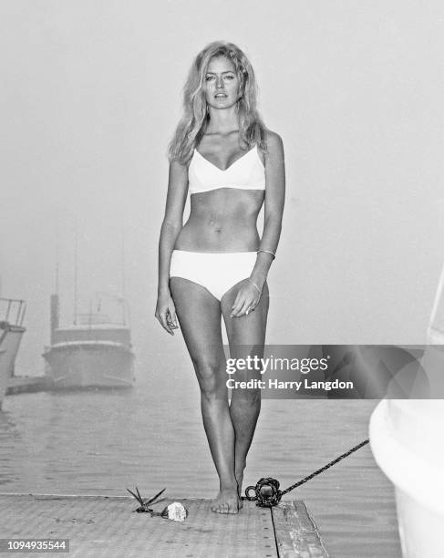 Actress Farrah Fawcett poses for a portrait in Los Angeles, California.