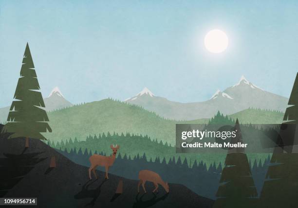 idyllic view of deer grazing and sun over mountain and forest landscape - mountain range stock illustrations