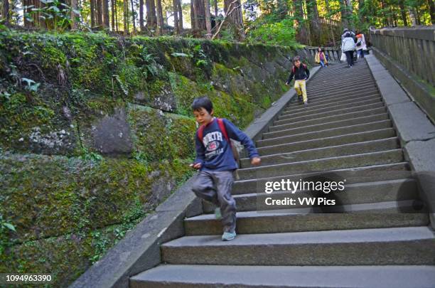 Nikko Toshogu Shrine.