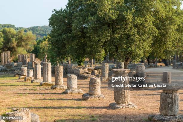 ancient columns at olympia - ancient olympia greece stock pictures, royalty-free photos & images