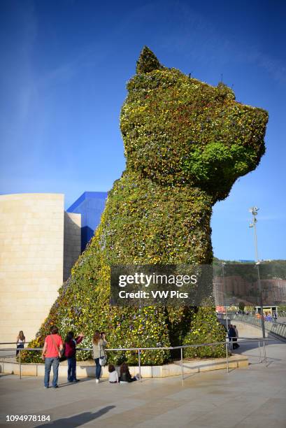 Puppy sculpture by Jeff Koons at the Guggenheim Museum Bilbao is a museum of modern and contemporary art, designed by Canadian-American architect...