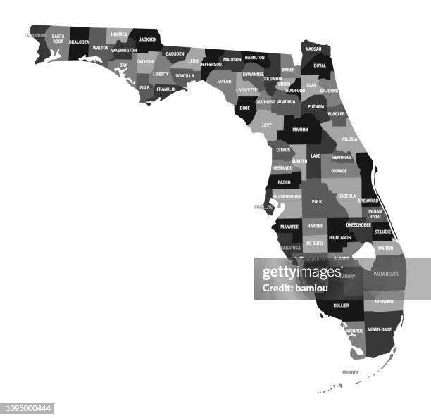 stockillustraties, clipart, cartoons en iconen met gedetailleerde kaart van florida state met county divisies - florida state v miami