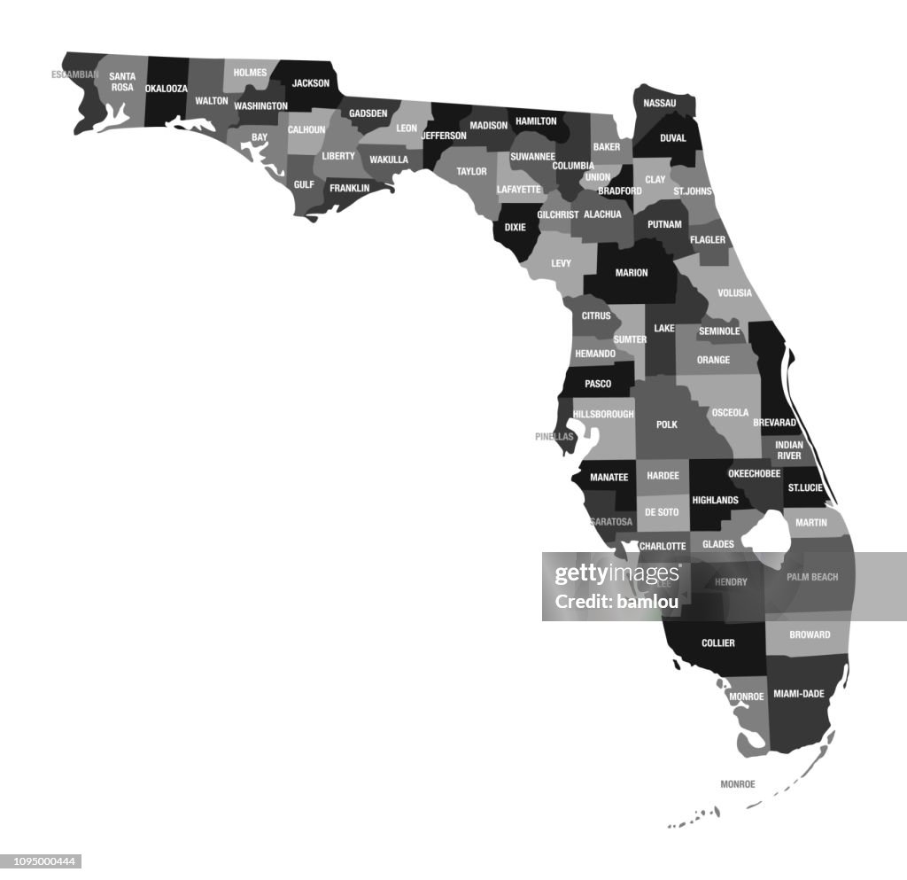 Detailed Map of Florida State with County Divisions