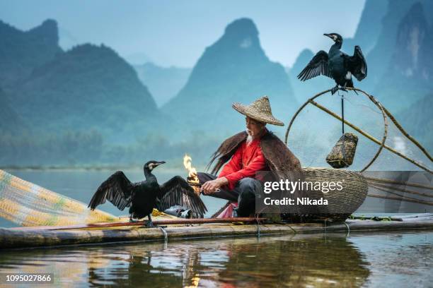 traditional chinese fisherman, li river - daily life traditional fishermen stock pictures, royalty-free photos & images