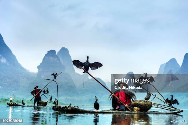 traditional chinese fisherman, li river - cormorant stock pictures, royalty-free photos & images