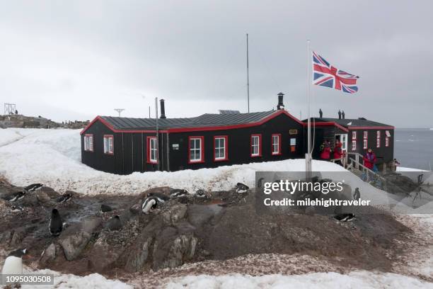 british flag flies over port lockroy visitors nesting gentoo penguins goudier island antarctica - british culture stock pictures, royalty-free photos & images