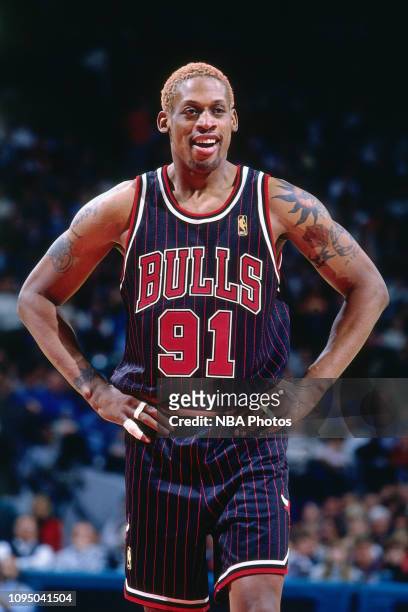 Dennis Rodman of the Chicago Bulls looks on during the game against the Charlotte Hornets on November 15, 1996 at the Charlotte Coliseum in...
