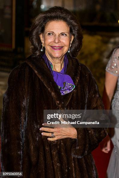 Swedish Royals Attend World Childhood Foundation's 20th Anniversary Swedish Royals Attend World Childhood Foundation's 20th Anniversary