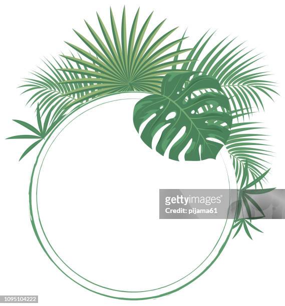 runde rahmen mit tropischen blättern - palmenblätter stock-grafiken, -clipart, -cartoons und -symbole