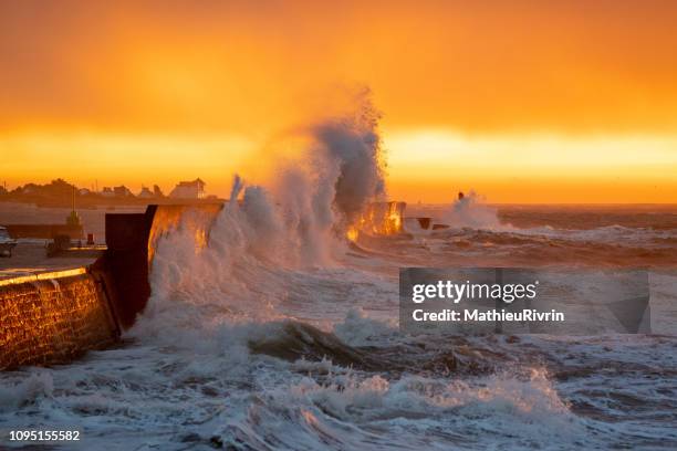 golden powerful storm with huge waves against the coast and the harbor - deich stock-fotos und bilder