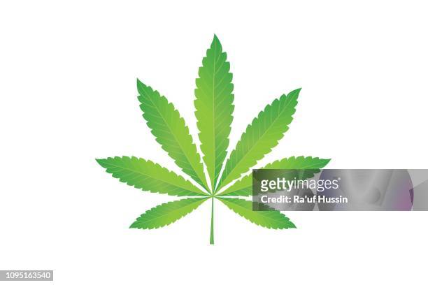 cannabis marijuana hemp, leaf flat icon, vector green medicine weed, vector herb - vector illustration - cannabis leaf fotografías e imágenes de stock