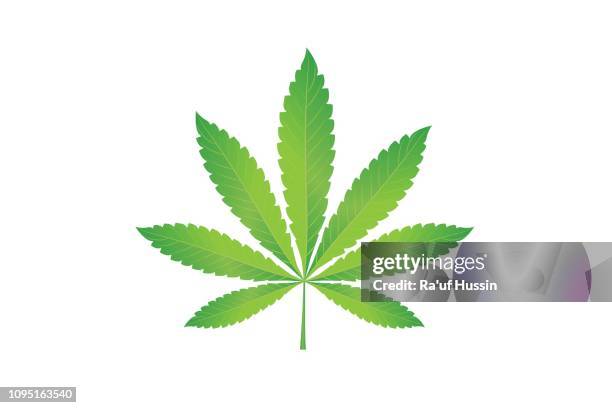 cannabis marijuana hemp, leaf flat icon, vector green medicine weed, vector herb - vector illustration - marijuana leaf stockfoto's en -beelden