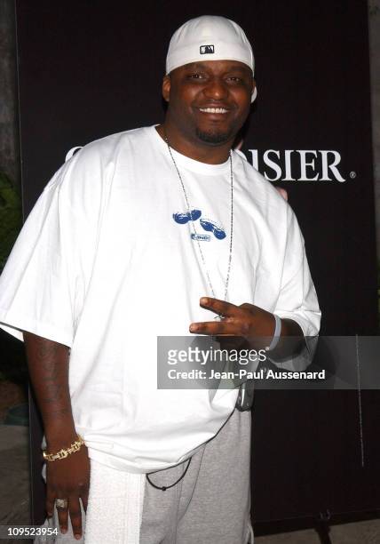 Aries Spears during Russell Simmons "Work Hard...Play Harder" Lounge Sponsored by Courvoisier and W Hotel - Arrivals at Poolside at W Hotel in...