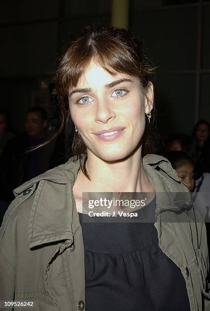 Amanda Peet during "Max" Premiere at the 2002 AFI Film Festival - Arrivals at Arclight Theatre in Hollywood, California, United States.