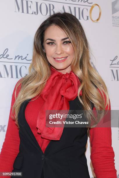 Aracely Arambula attends "La Boda de Mi Mejor Amigo" red carpet at Cinemex Antara Polanco on February 7, 2019 in Mexico City, Mexico.