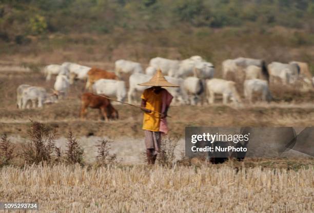 Kalahandi Raja Kalahandi State Photos and Premium High Res Pictures - Getty Images