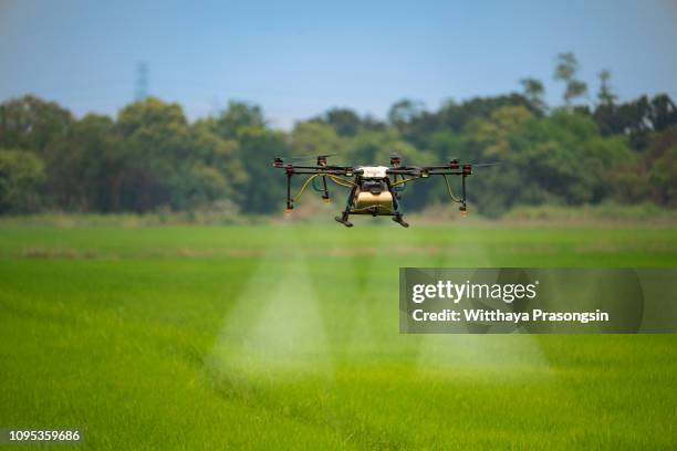 agriculture drone fly to sprayed fertilizer on the rice fields - adubo equipamento agrícola imagens e fotografias de stock