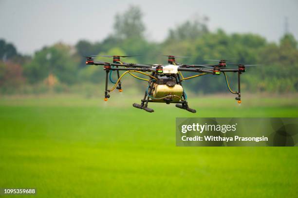 agriculture drone fly to sprayed fertilizer on the rice fields - drone agriculture foto e immagini stock