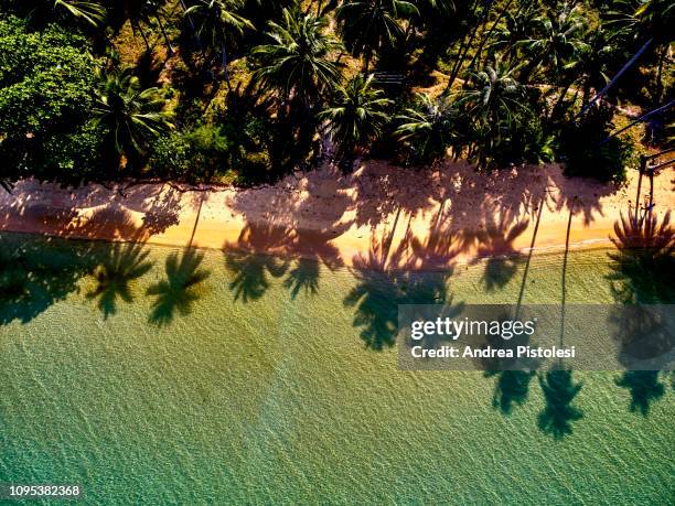 lonely beach, koh rong island, cambodia - cambodja stockfoto's en -beelden