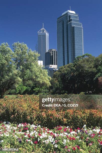 Langley park with skyscrapers in the background, Perth, Western Australia, Australia.