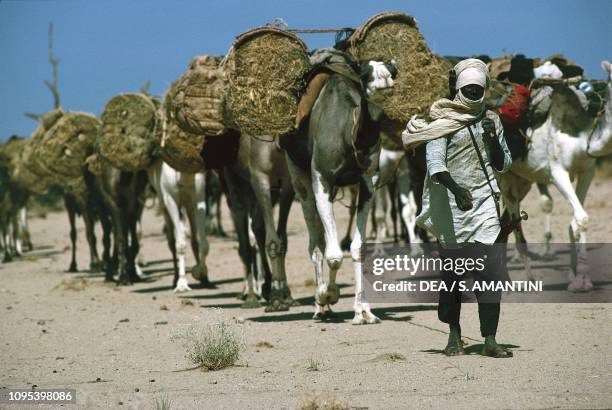 Tuareg and camel caravan, Air Massif, Air and Tenere Nature Reserve , Niger.