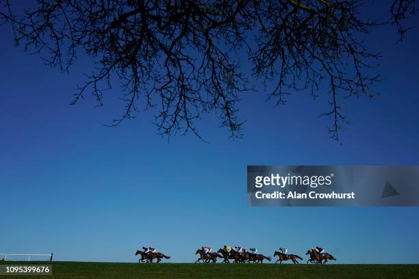 Bryony Frost riding Myplaceatmidnight lead all the way to win The Towergate Caravan Insurance Handicap Hurdle at Wincanton Racecourse on January 17,...