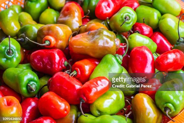 mexican chile peppers - chili - fotografias e filmes do acervo