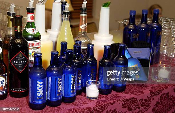 Skyy Vodka bar during Details Magazine hosts "Chelsea Walls" Premiere and After Party - Los Angeles at Laemmle Sunset and Chateau Marmont in Los...