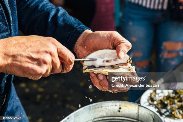 close up of a man opening oyster shell with a knife - fresh seafood 個照片及圖片檔