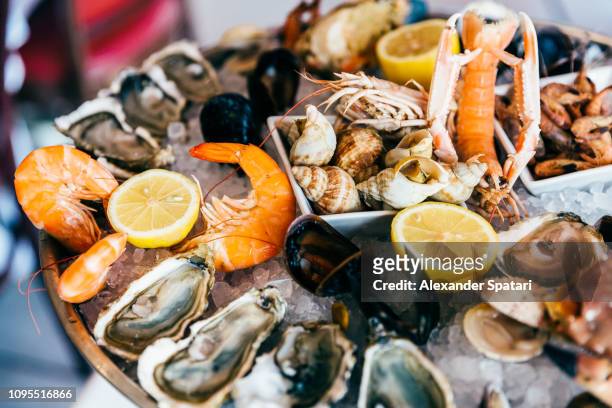 close up of fresh seafood on ice plate - fische und meeresfrüchte stock-fotos und bilder
