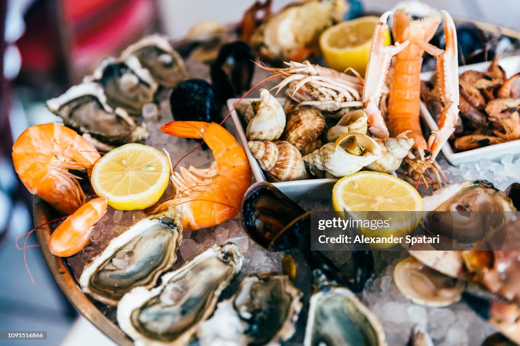 Close up of fresh seafood on ice plate