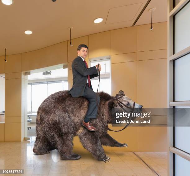 successful businessman in a bear market - bear market 個照片及圖片檔