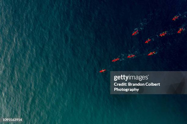 la jolla kayaking from drone point of view - la jolla imagens e fotografias de stock