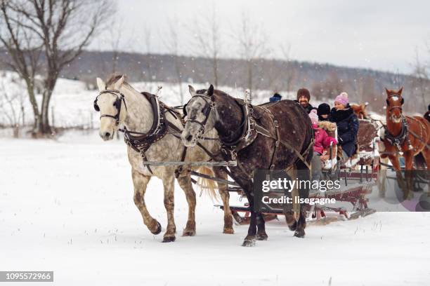 Infant Sleigh Riding 297 Kids Sleigh Riding Stock Photos, High-Res Pictures, and Images ...
