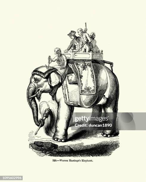 warren hastings's  elephant, india, 18th century - indian elephant stock illustrations