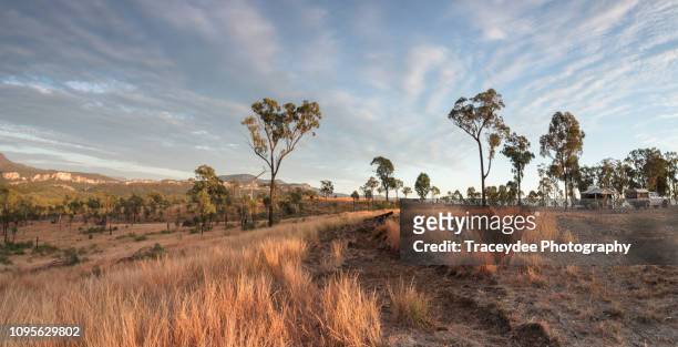 sunrise off the beaten track with a 4 wheel drive vehicle and campervan in the carnarvon gorge, queensland. - queensland stock pictures, royalty-free photos & images
