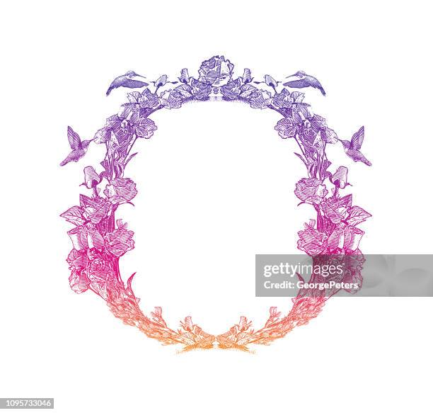 decorative circle frame with hummingbirds and flowers - purple roses stock illustrations