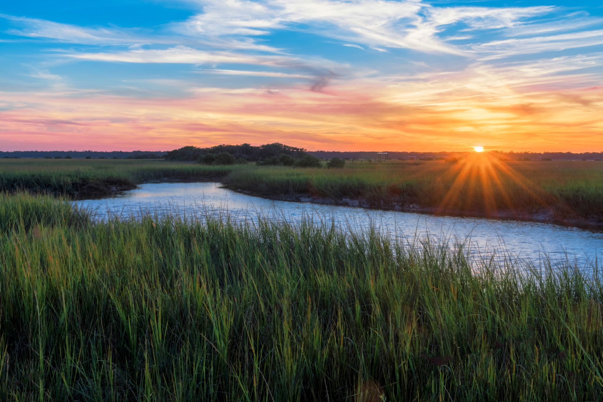 florida landscape