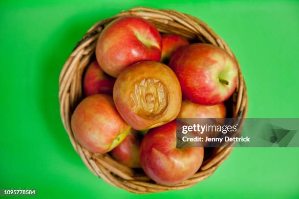 841 Rotten Apple Stock Photos, High-Res Pictures, and Images - Getty Images