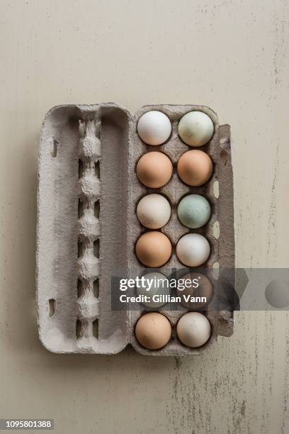 mixed coloured organic eggs - carton stock pictures, royalty-free photos & images