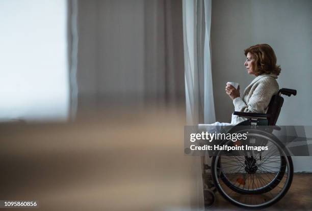a sad disabled senior woman in wheelchair at home, holding a cup of coffee. copy space. - fraqueza imagens e fotografias de stock