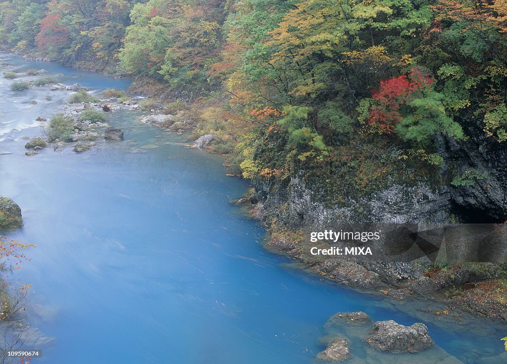 Dakigaeri Valley and Autumn Leaves, Senboku, Akita, Japan