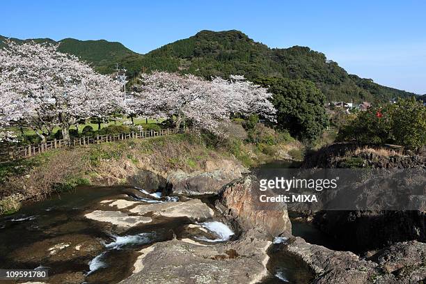 cherry blossoms of todoroki waterfall park, ureshino, saga, japan - saga prefecture stock pictures, royalty-free photos & images
