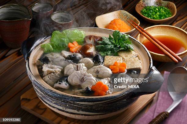 fugu-nabe - hot pot dish fotografías e imágenes de stock