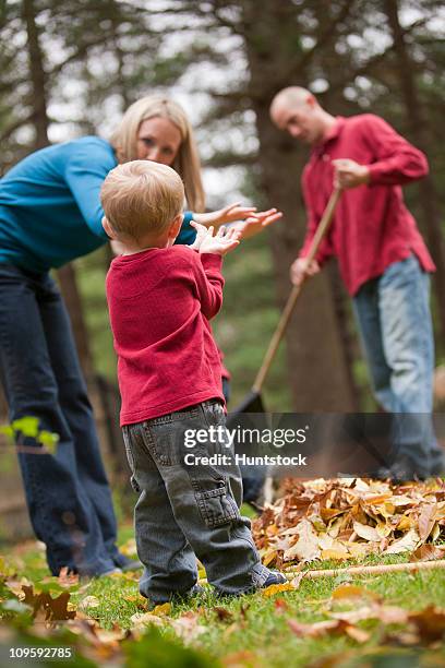 Asl Sign Rake 597 American Sign Language Family Stock Photos, High-Res Pictures, and ...