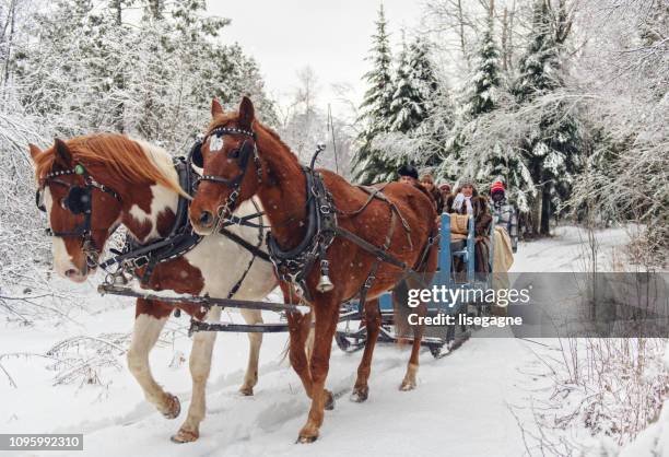 multi-ethnic group sleigh riding - sleigh stock pictures, royalty-free photos & images