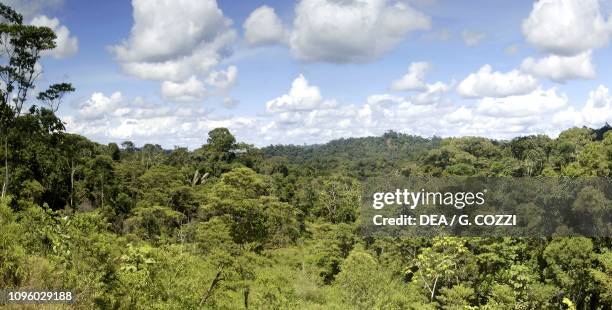 Techa Ecuador Tena Ecuador Photos and Premium High Res Pictures - Getty Images